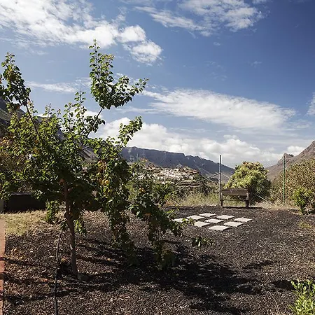 Ecotara Canary Islands *