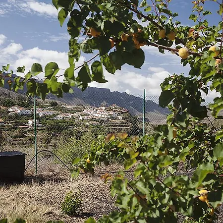 Ecotara Canary Islands Country house Fataga