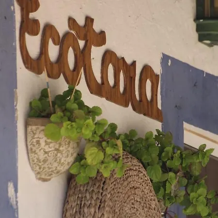 Ecotara Canary Islands * Fataga